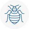 Bed Bug Extermination In Prescot